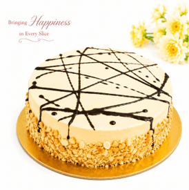 Premium Nut & Chocolate Drizzle Cake